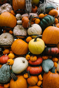 High angle view of pumpkins for sale at market stall