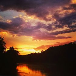 Silhouette of trees at sunset