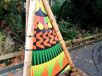 Close-up of clothes hanging on tree