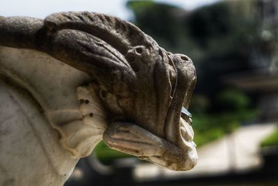 Close-up of statue against blurred background