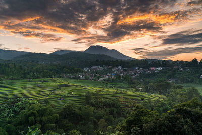 Scenic view of agricultural field against sky during sunset