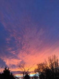 Silhouette of trees at sunset