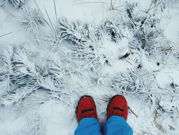 Low section of person standing on snow