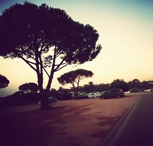 Cars parked on road