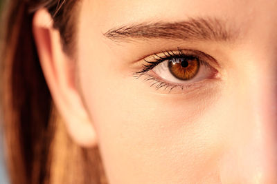 Close-up of woman eye