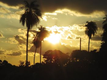 Silhouette trees against sky during sunset