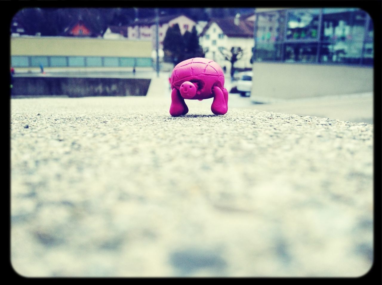 street, focus on foreground, transfer print, childhood, selective focus, auto post production filter, road, close-up, incidental people, flower, pink color, car, day, surface level, outdoors, building exterior, built structure, transportation