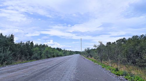 Narrow road along trees