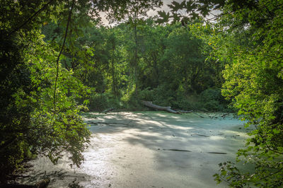 Scenic view of beach