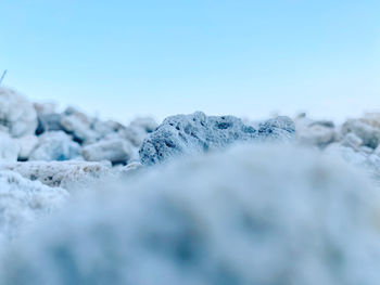 Close-up of snow covered land against clear blue sky