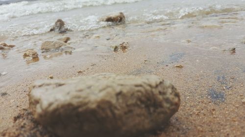 Close-up of wet sand on beach