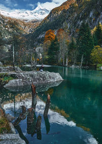 Reflection of tree on lake against mountain