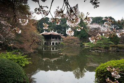 Plants by lake and building against sky