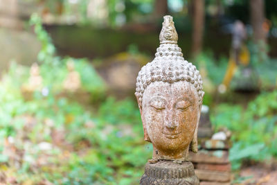 Close-up of buddha statue in park