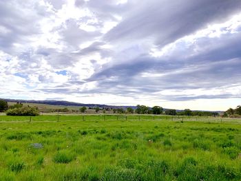 Scenic view of field against sky