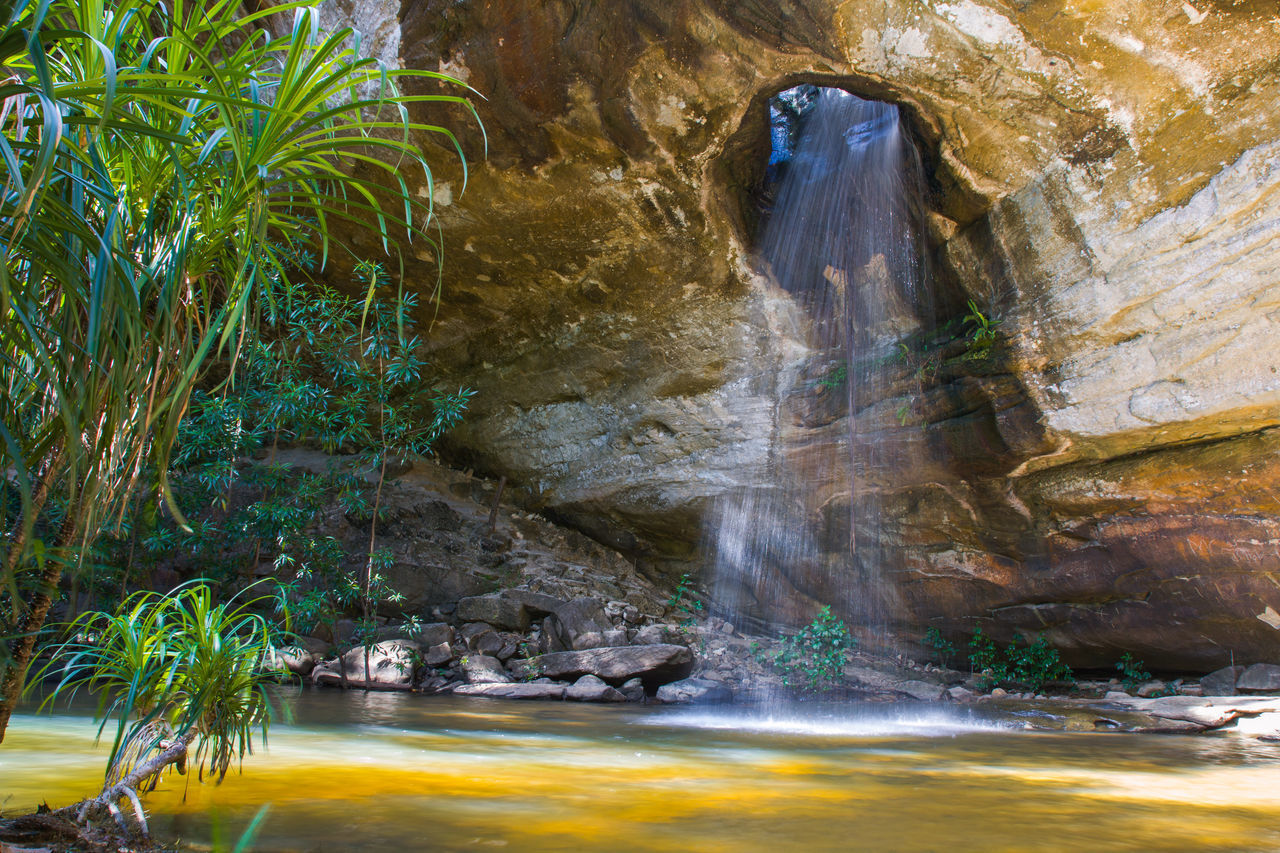 SCENIC VIEW OF WATERFALL IN FOREST