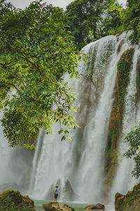 Scenic view of waterfall in forest