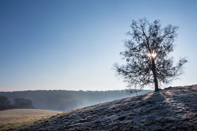 A frosty landscape in the state of brandenburg germany