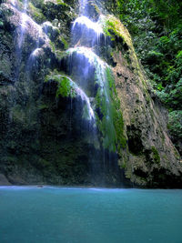 Scenic view of waterfall in forest