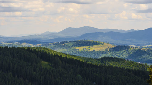 Scenic view of landscape against sky