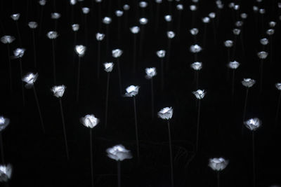 Close-up of illuminated lights