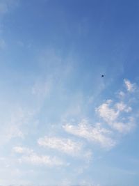 Low angle view of bird flying against blue sky