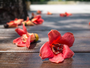 Close-up of red berries on table