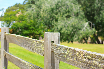 Close-up of wooden fence against trees