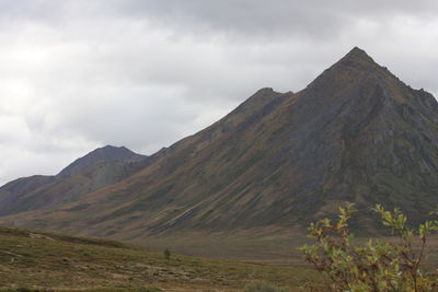 Along the dempster highway
