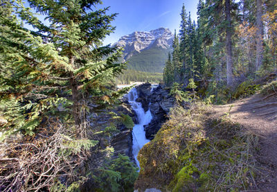 Scenic view of waterfall in forest