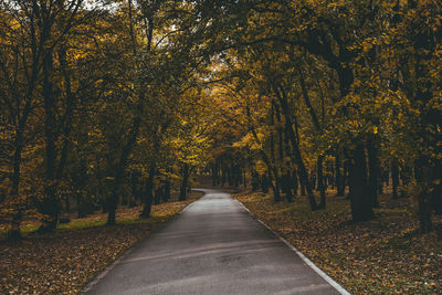 Road amidst trees during autumn