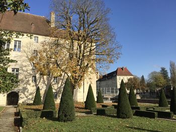 View of trees and buildings against sky