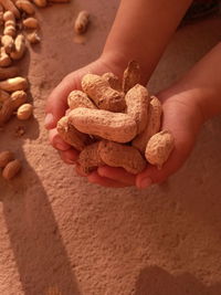 High angle view of person holding bread