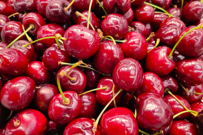 Close-up on a stack of cherries on a market stall.