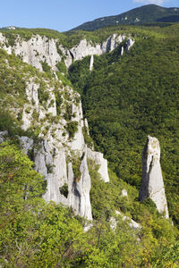 Vela draga canyon and rocks in ucka nature park