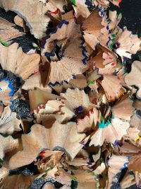 Close-up of multi colored wood
