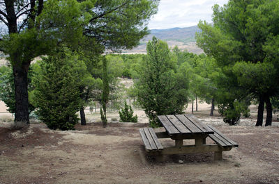 Bench against trees
