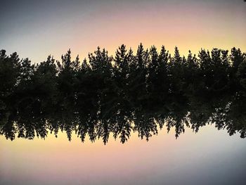 Reflection of silhouette trees in lake against sky at sunset