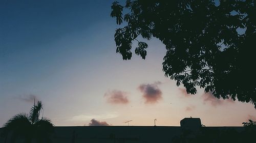 Low angle view of silhouette tree against sky