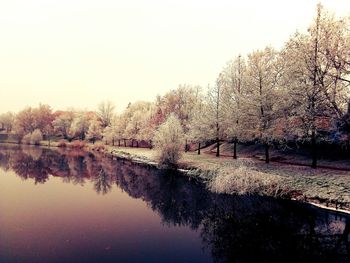 Reflection of trees in lake against clear sky