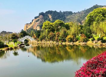 Scenic view of lake by trees against sky