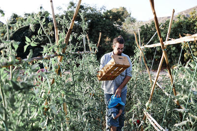 Farmer holding crate standing with son in farm on sunny day