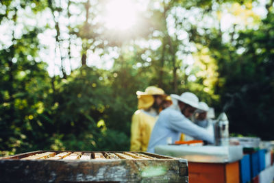 Rear view of people on table against trees