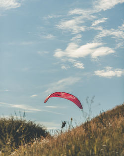 Flag flying over field against sky