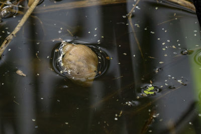 Close-up of water drops on glass