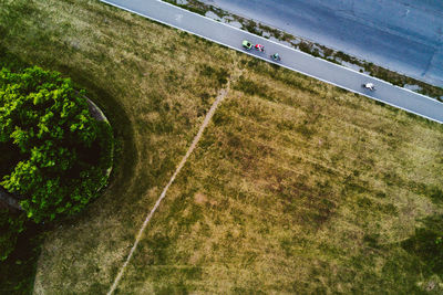 Aerial view of people riding bicycles on road