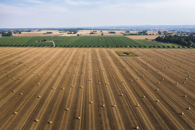 View of bales on field