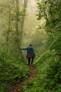 Rear view of man walking in forest