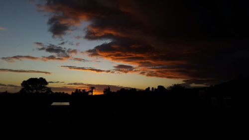 Silhouette of trees at sunset