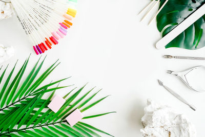 Close-up of palm leaves on white table